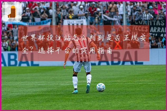 世界杯投注站怎么判别是否正规安全？选择平台的实用指南
