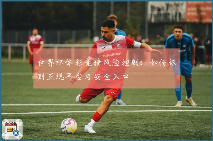世界杯体彩竞猜风险控制：如何识别正规平台与安全入口
