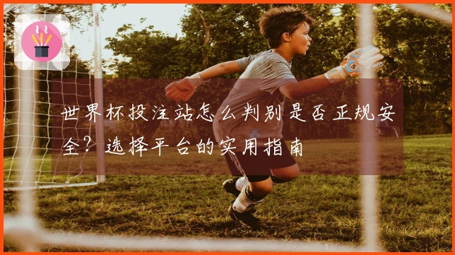世界杯投注站怎么判别是否正规安全？选择平台的实用指南